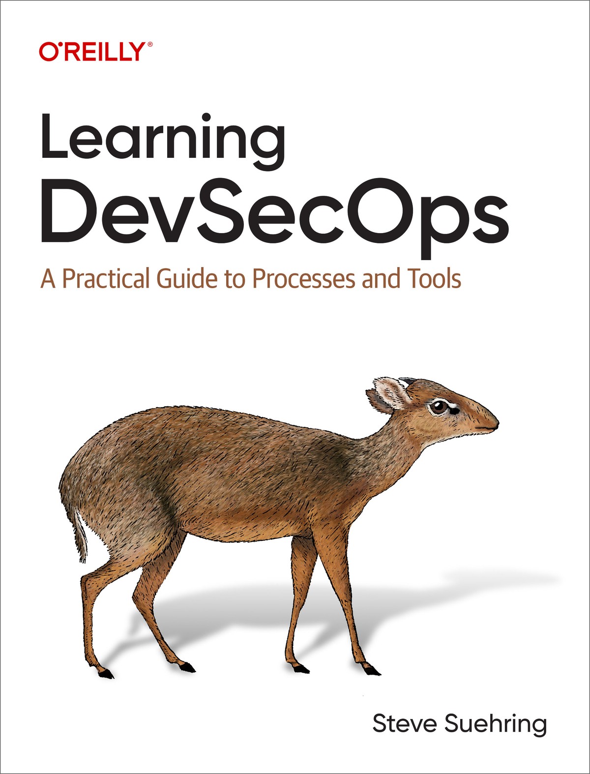 Learning DevSecOps