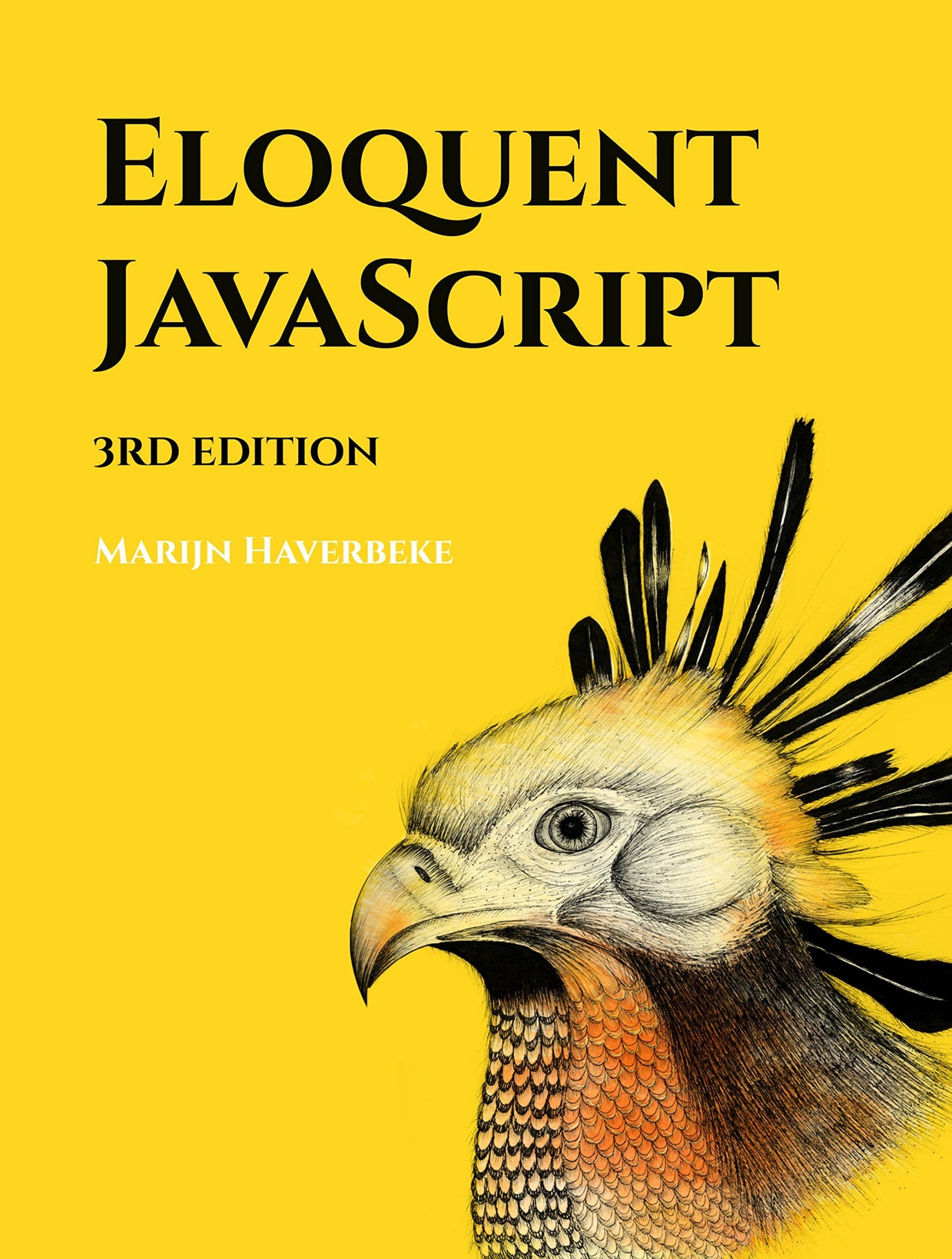 Eloquent Javascript [3rd edition]