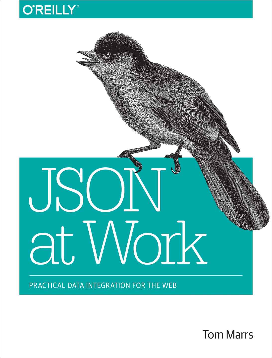 JSON at Work