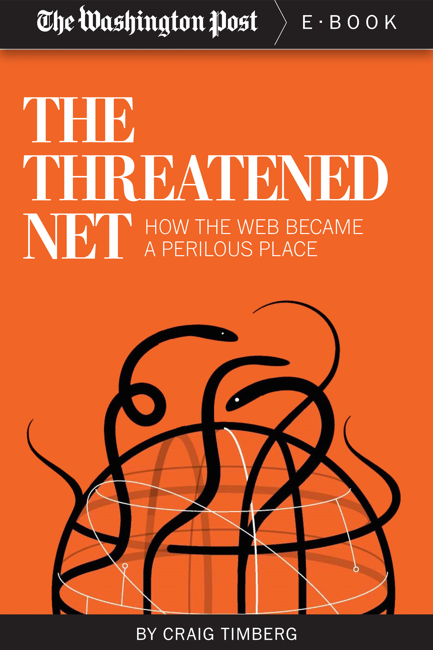 The Threatened Net: How the Web Became a Perilous Place